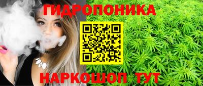 винт Ипатово
