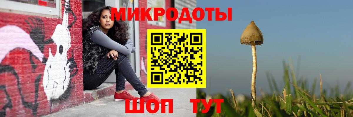Галлюциногенные грибы Psilocybine cubensis  наркота  Галлюциногенные грибы Psilocybe  Минеральные Воды  Вход с VPN 